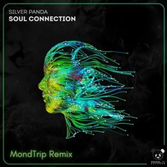 Silver Panda - Soul Connection (MondTrip Remix)