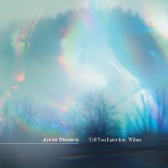 Jamie Stevens - Tell You Later (GMJ & Matter Remix)