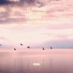 Ludwig van Beethoven : Piano Sonata No.1 In F Minor Op.2-1 - III. Menuetto Allegretto