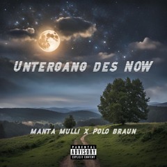 manta mulli x polo braun - Untergang des NOW