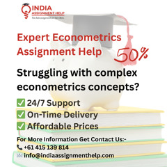 Ace Your Econometrics Assignments