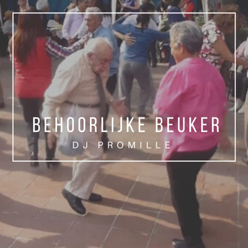 behoorlijke beuker - Minimix