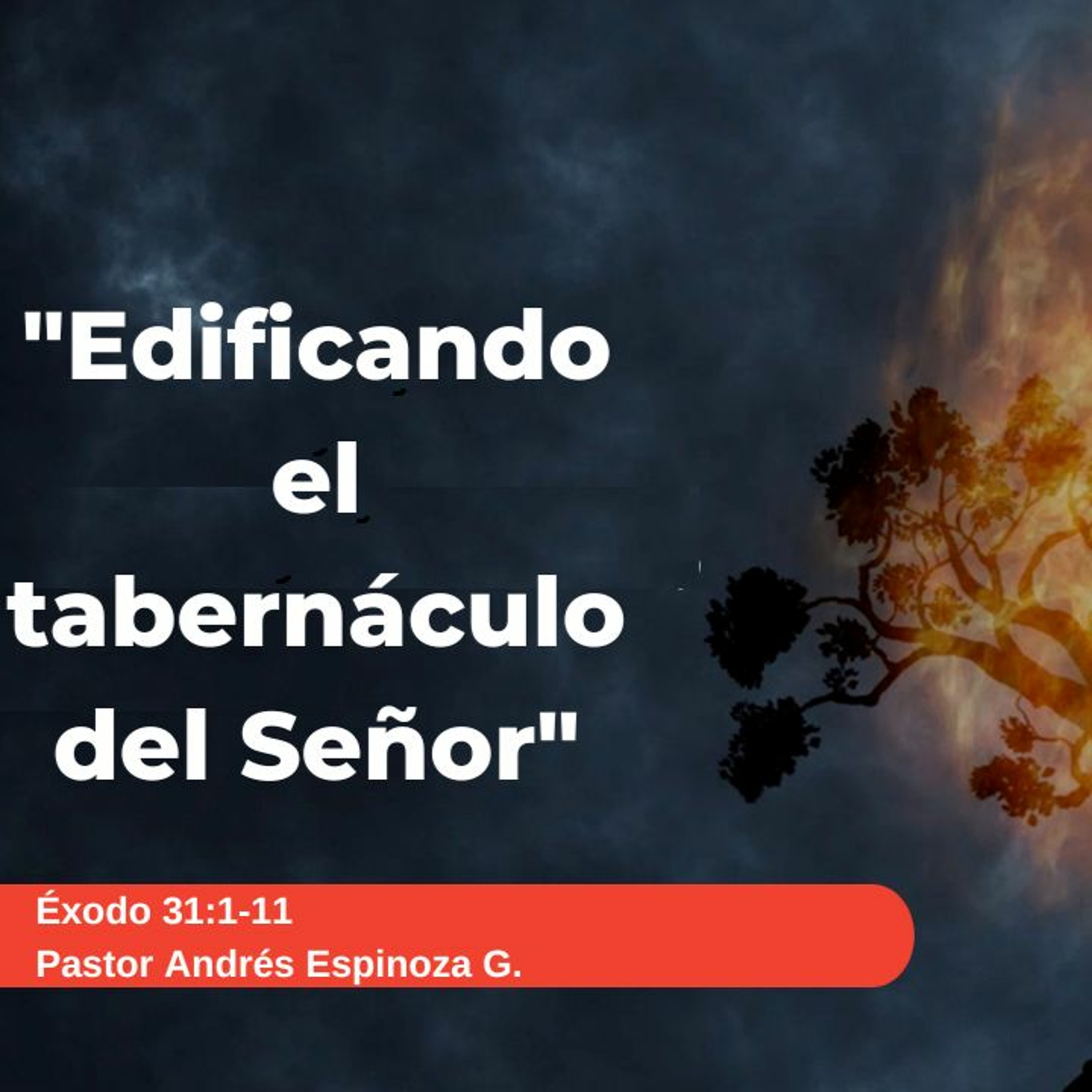 Edificando el tabernáculo del señor episode artwork