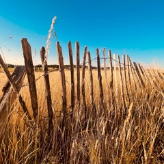 /| Ambient | Downbeat