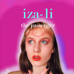 The Passenger