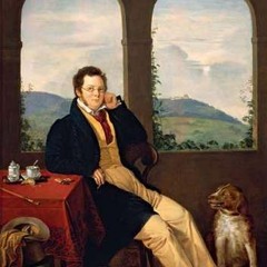 Schubert - Schwanengesang, D. 957, XIV. Die Taubenpost