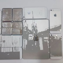 summer trap samples 25'