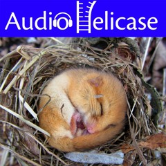 AudioHelicase Special: Getting a handle on hibernation