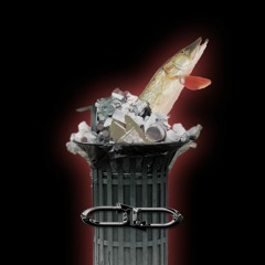 Trash Hecht