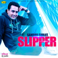 Slipper