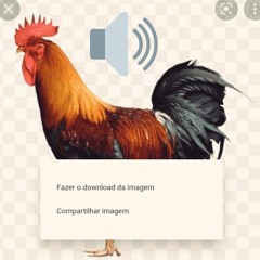 SET RAIZ DESANDE 2024 - SÓ AS MELHORES (ILLUSIONIZE, FLUX ZONE, VICTOR LOU, HOOST)