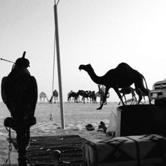 تدور الارض | محمد بن فطيس