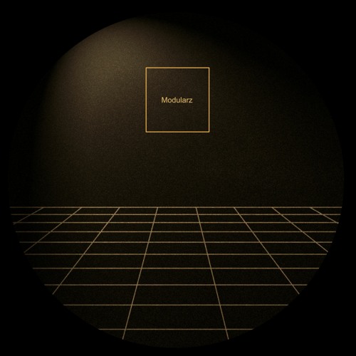MODULARZ 50  // Solid State LP // by Crime as Service