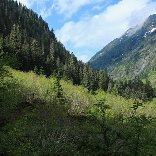 ༒я взлетаю к вам, а вас там нет, пам пам༒