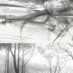 fell4u (liminaldream)