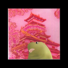 Merzbow - Shadow Barbarian (Long Mix)
