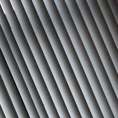 Moonlight Is Sunlight