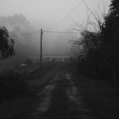 this is what mixed feelings feel like...