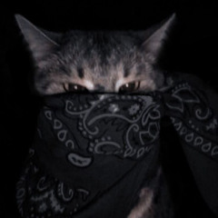 GATA ONLY