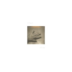 grouper 'unclean mind'
