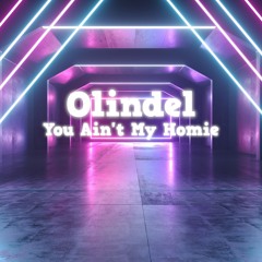 You Ain't My Homie