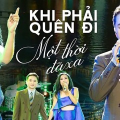 Mashup KHI PHẢI QUÊN ĐI & MỘT THỜI ĐÃ XA  Phương Thanh - Phan Mạnh Quỳnh