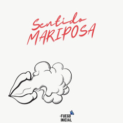 sentido mariposa - YUNIIORR