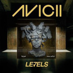 Paradise x Levels