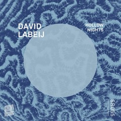 David Labeij - Vonk (Original Mix)