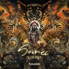 Yudhisthira & Slide - Insanity | Soumei VA | Forestdelic Rec