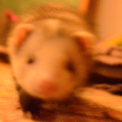 GLEAMY FRND EYES(DICKMASHUP)