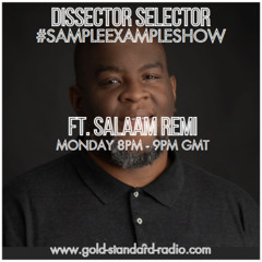 SAMPLE EXAMPLE SHOW ft. Salaam Remi