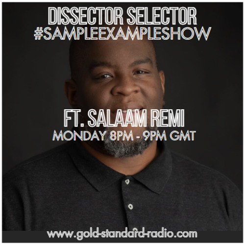 SAMPLE EXAMPLE SHOW ft. Salaam Remi