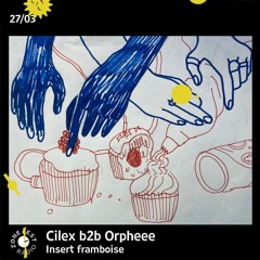 Insert framboise avec Cilex b2b Orpheee -  27/03/23
