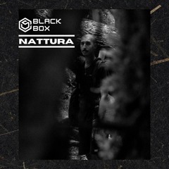 Nattura X Black Box - Original Mix.
