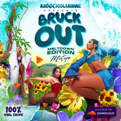 DJ LEXX - BRUCK OUT MIX PT.2 MELTDOWN EDITION - DANCEHALL 2025