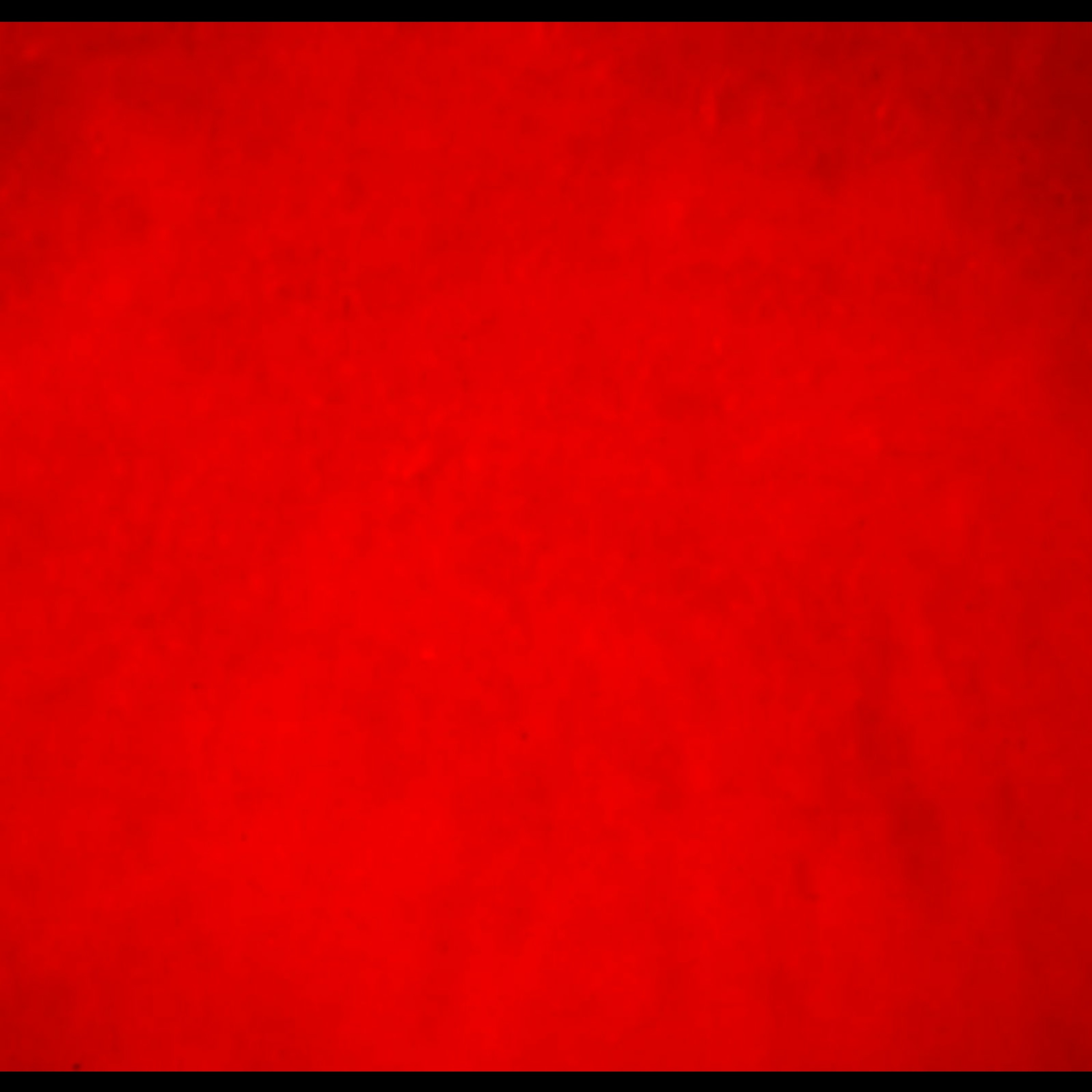 Confins des ondes - mardi 24 mars episode artwork