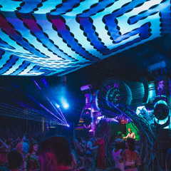 DARDI - Wild Horses 2025