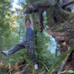 i’m sorry i missed your booty call i got distracted and climbed a tree [prod. neverforever]