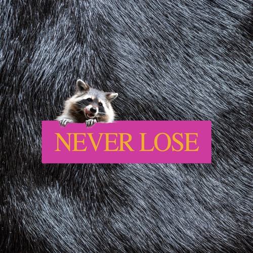 Never Lose
