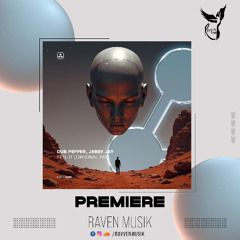 PREMIERE: Dub Pepper, Jebby Jay - Feel It (Original Mix) [Plombir Music]