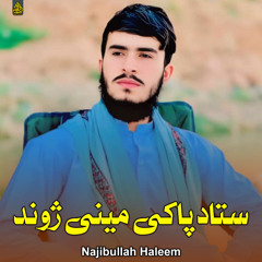 ستادپاکی مینی ژوند