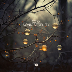 Sonic Serenity (Extended Mix)