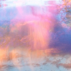 Of Quiet Beauty
