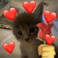 BANGERS PAZ E AMOR <3