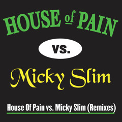 Jump Around (House of Pain vs. Micky Slim Mix)