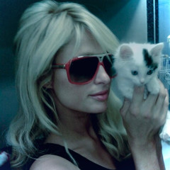 Ca$hkitten (nightcore)