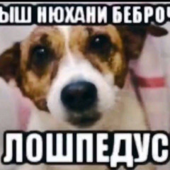 bez пизды