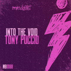 Tony Puccio - Into the Void (Original Mix)