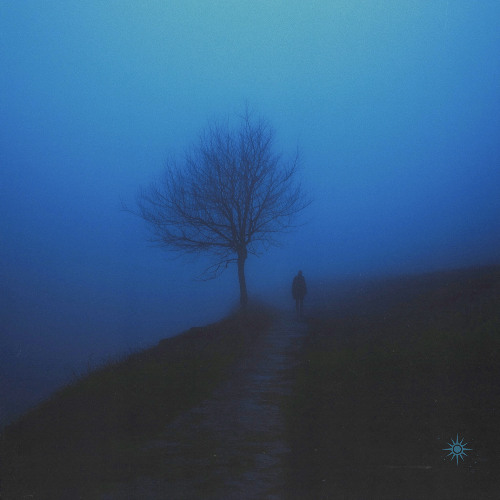 Fall. - a lot has changed